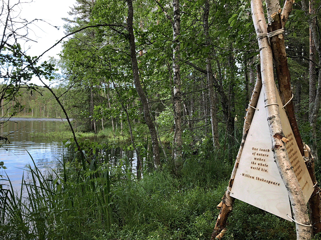 Part of the reflection path Sofia Merenmies designed and built for the Kajo 2022 scout camp.