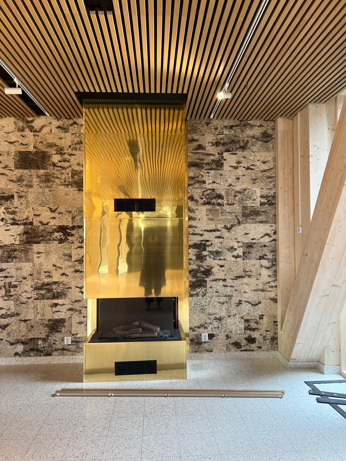 Electrolux © Archus 5