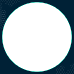 Blank
