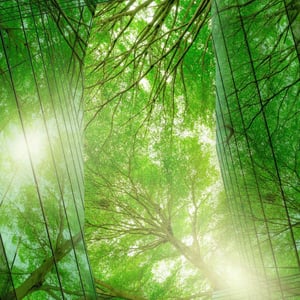 green building4