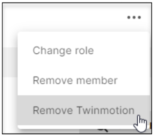 Remove Twinmotion