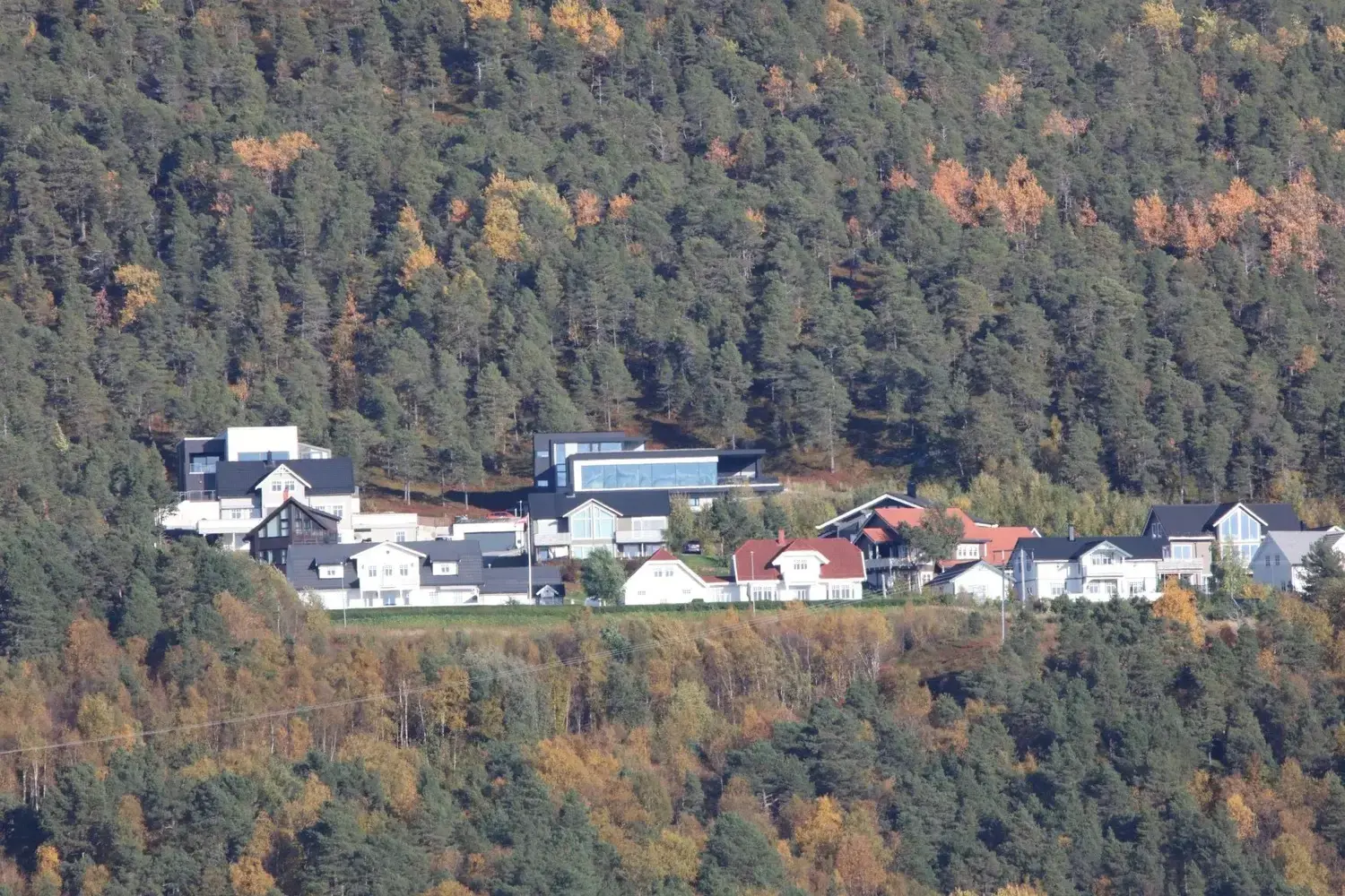 Villa Furutoppen, omgiven av skog.