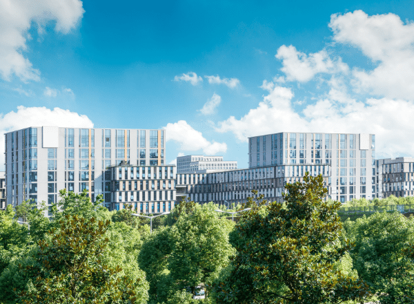 buildings with trees in front