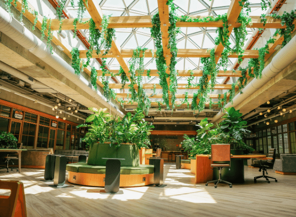 lobby with green plants